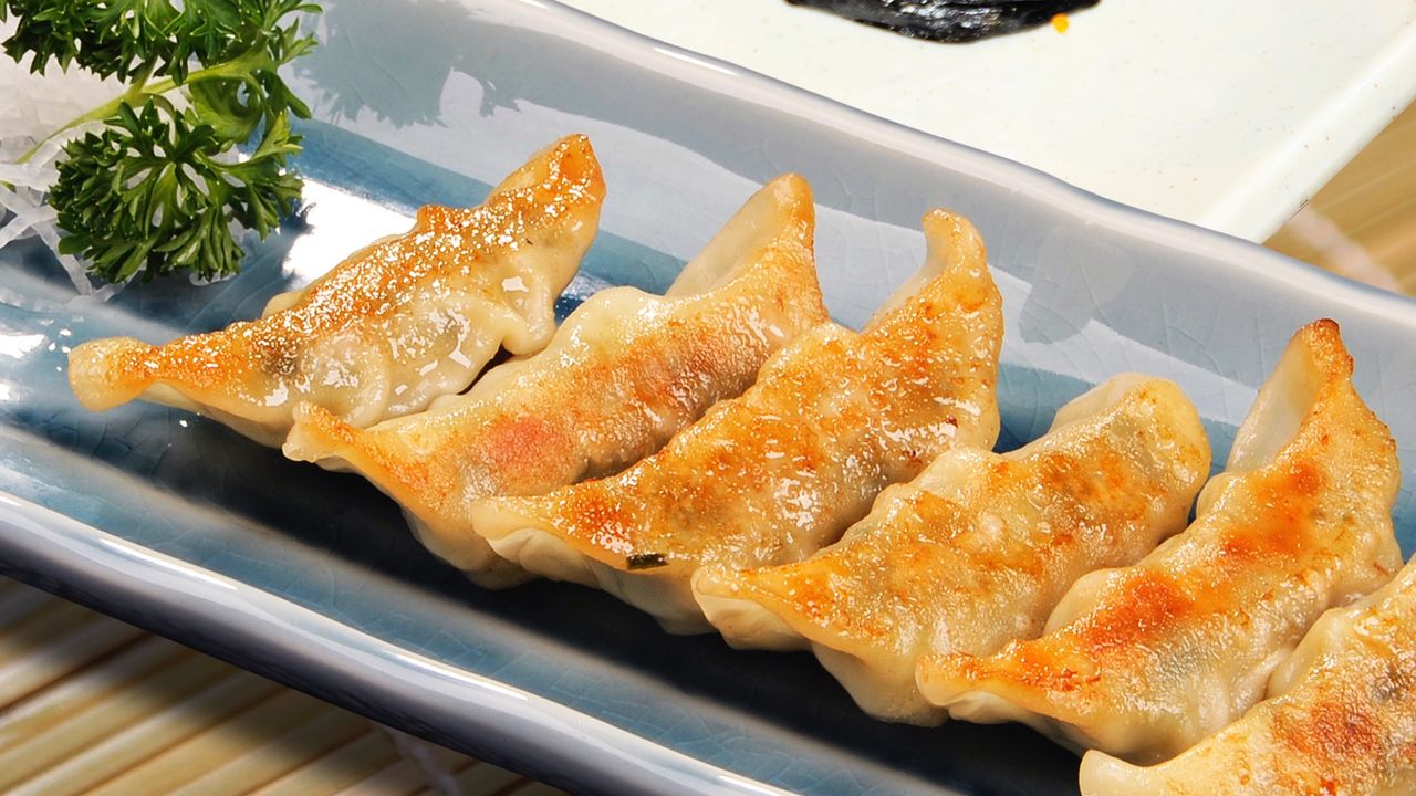 E02. Gyoza