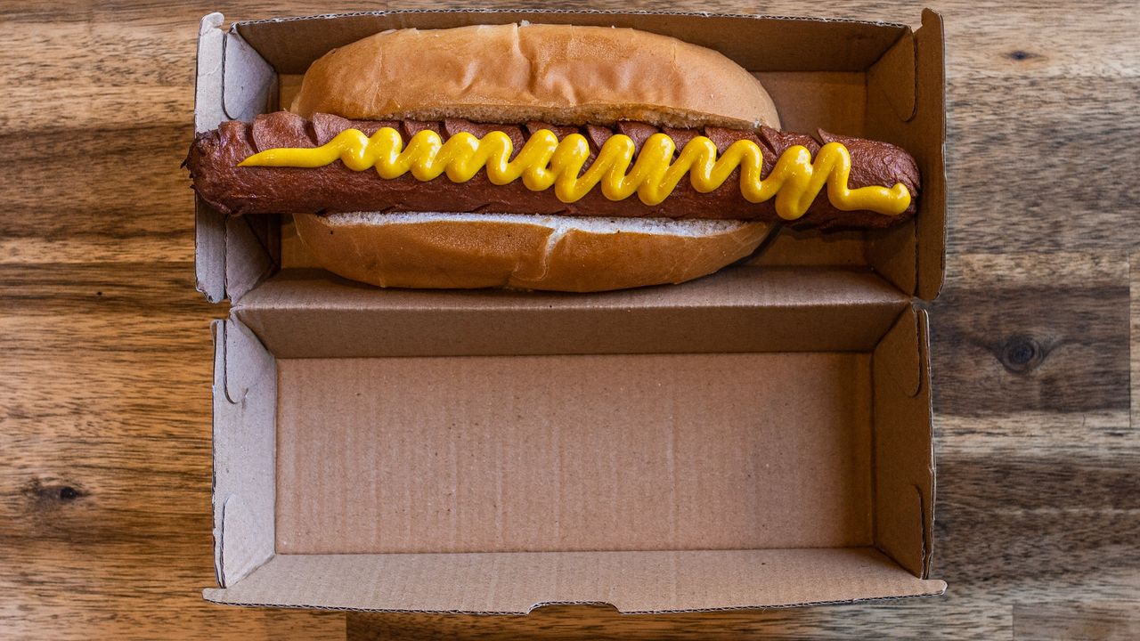 Large Hot Dog
