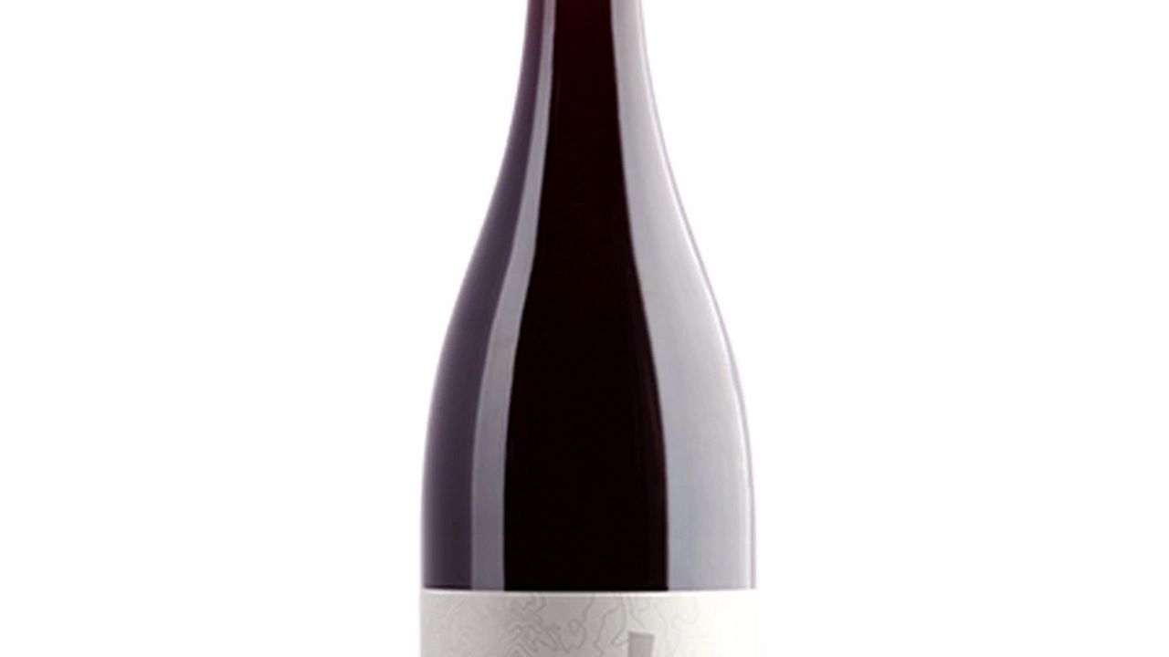 Payten & Jones Brownes Block Pinot Noir 2017