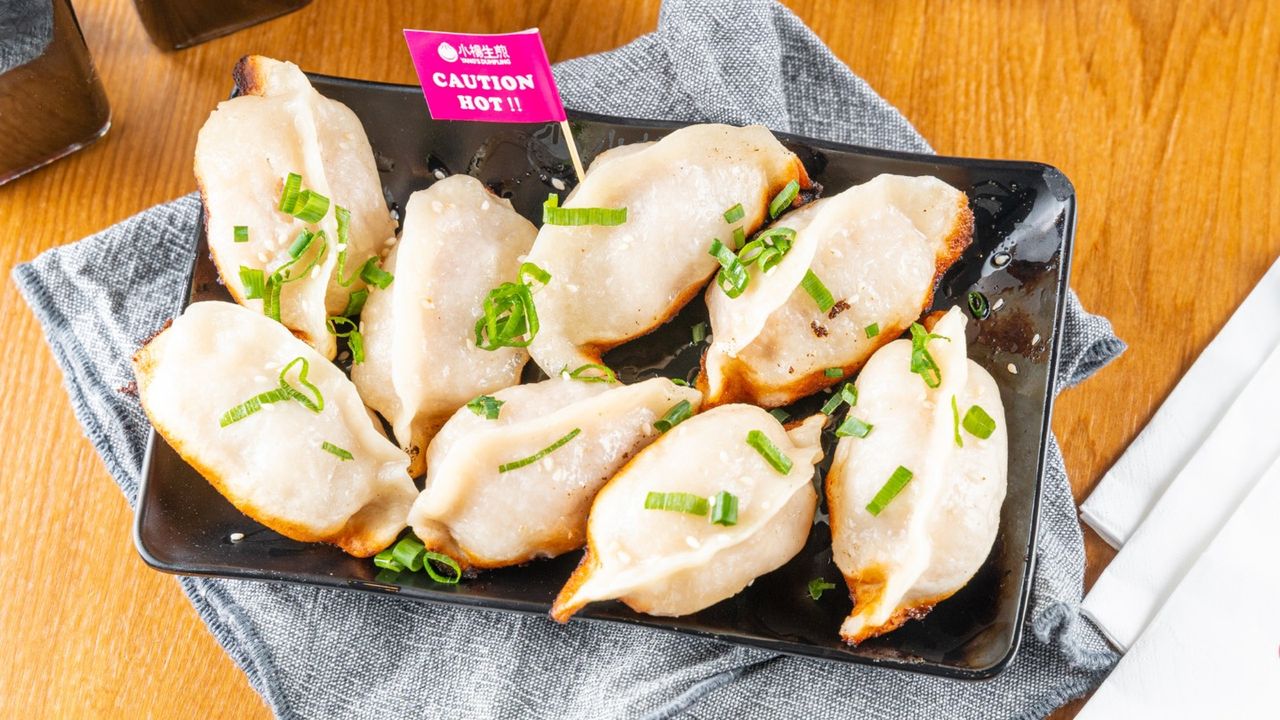 Pan Fried Chicken Dumplings