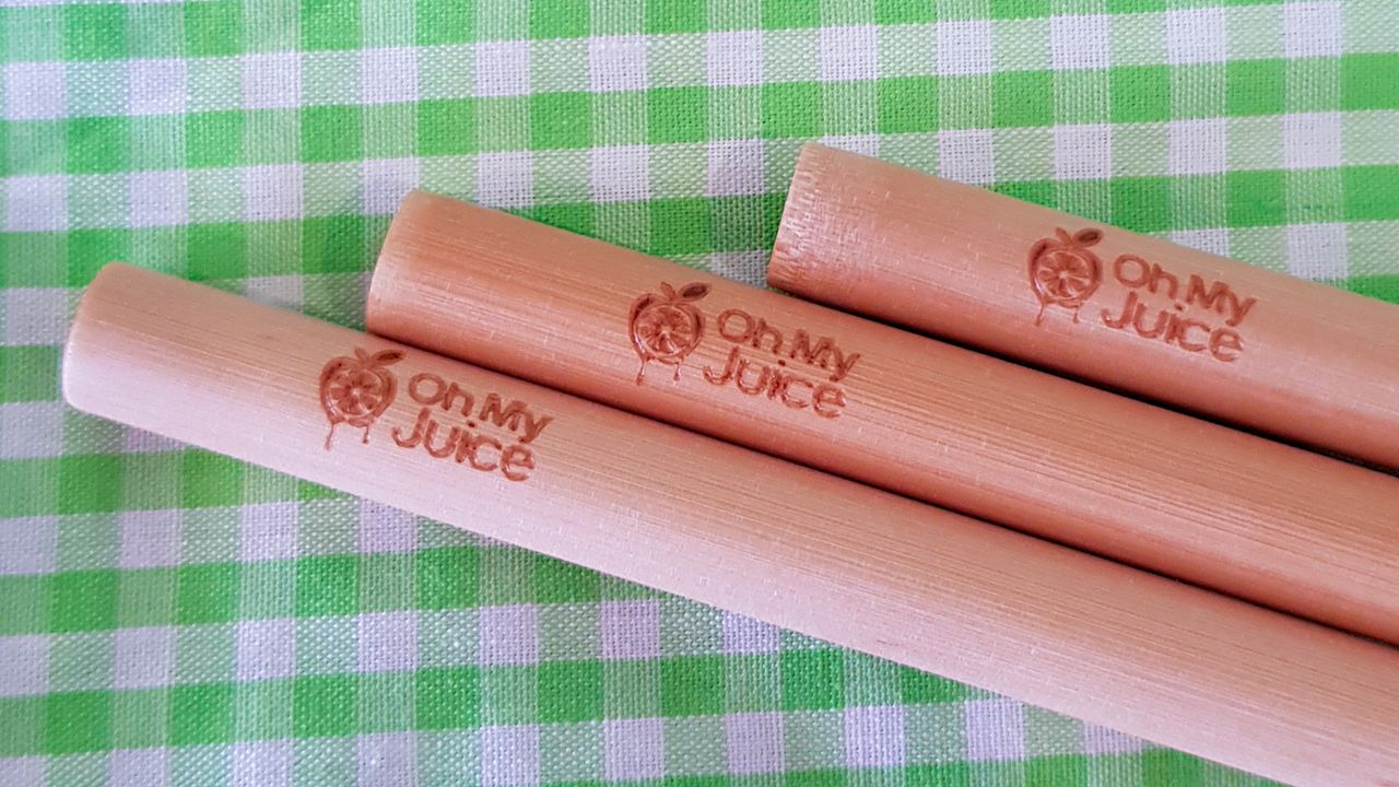 Bamboo Straws (3)
