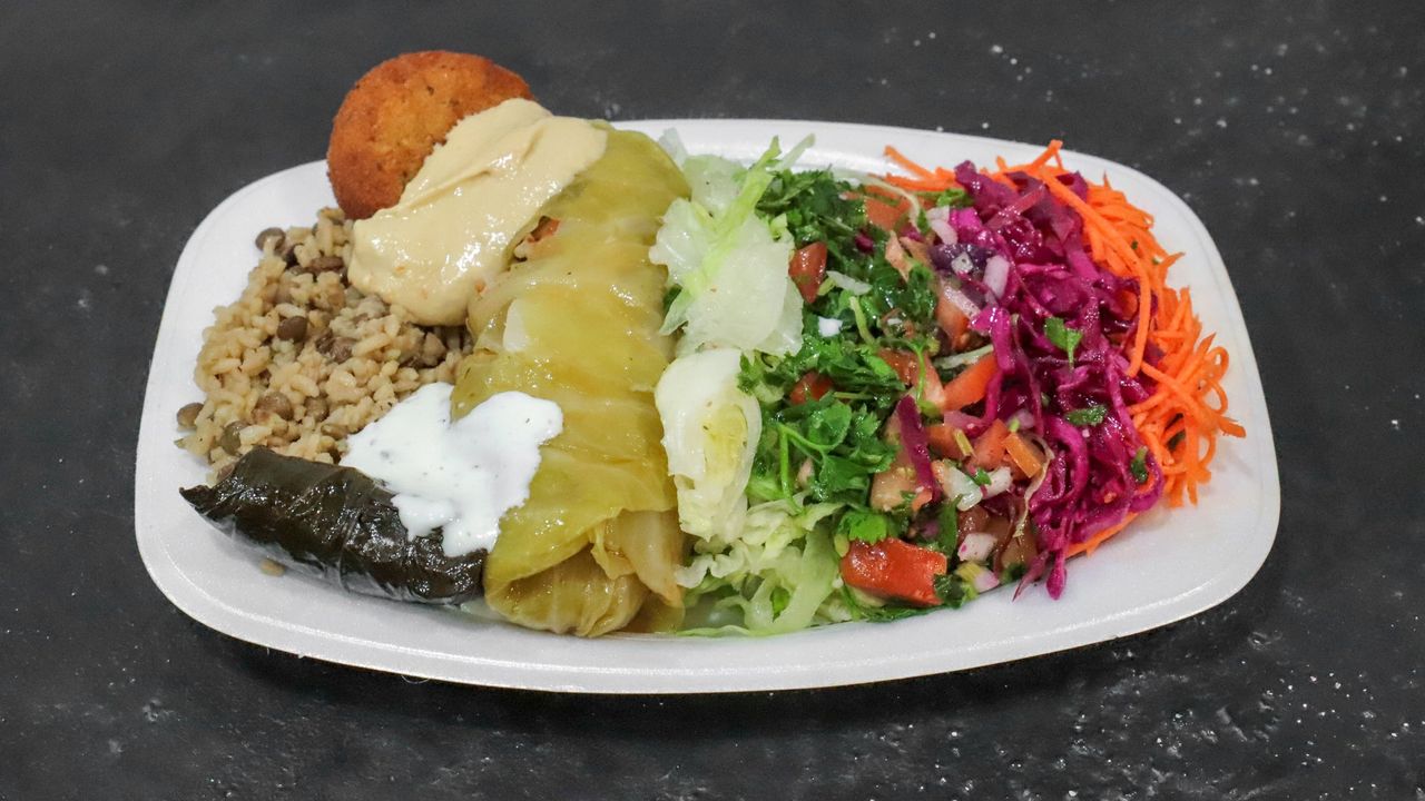 Vegetarian Plate (V)
