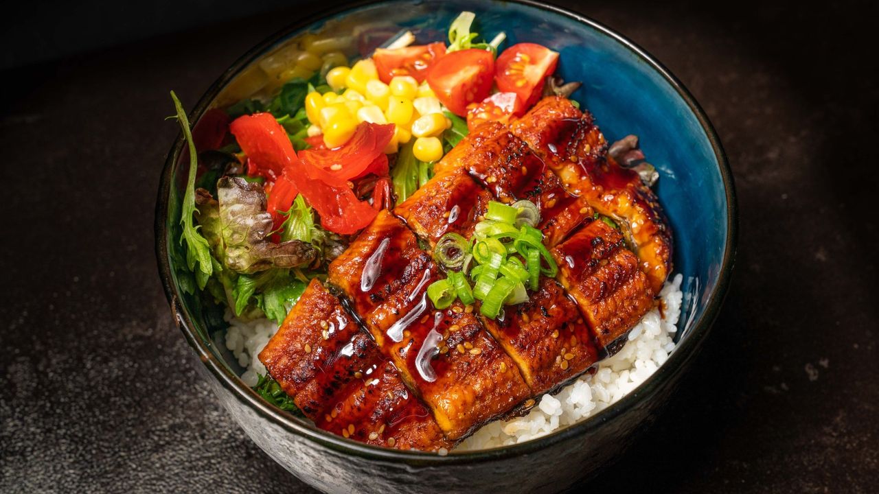 D12. UNAGI DON