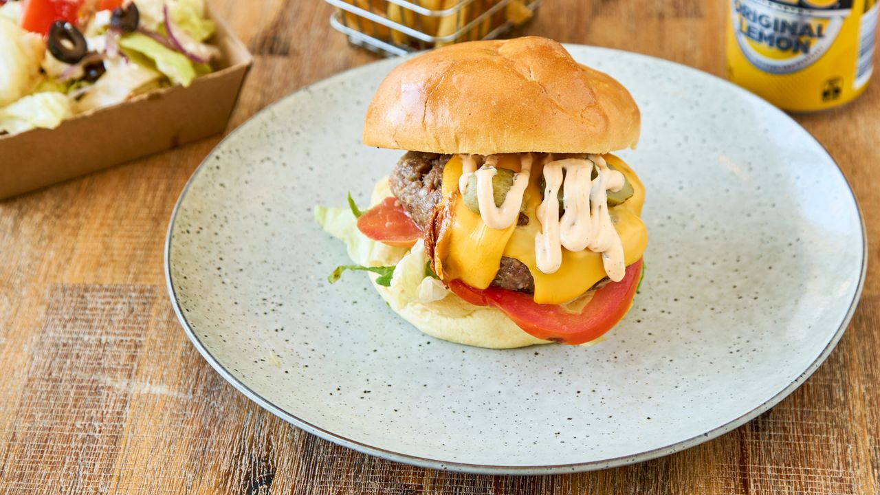 Just a Cheese Burger (Burger Only)