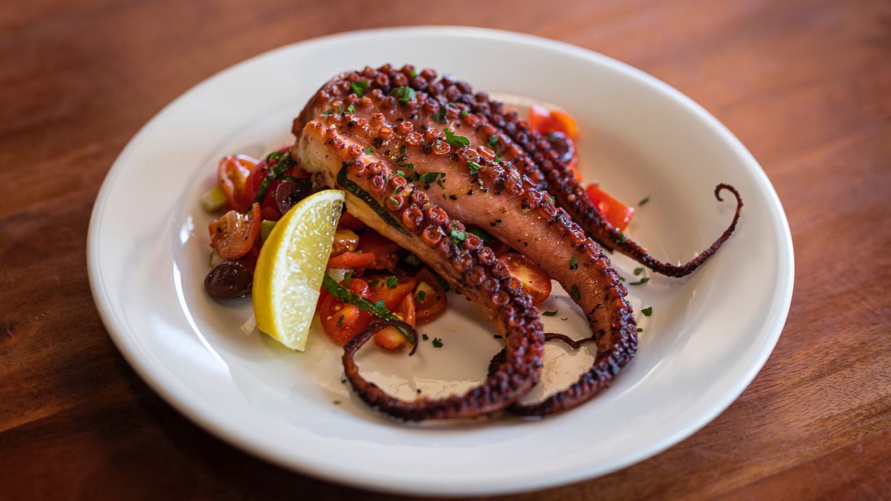 Octopus Salad