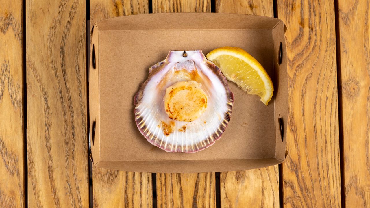 Scallops Grilled