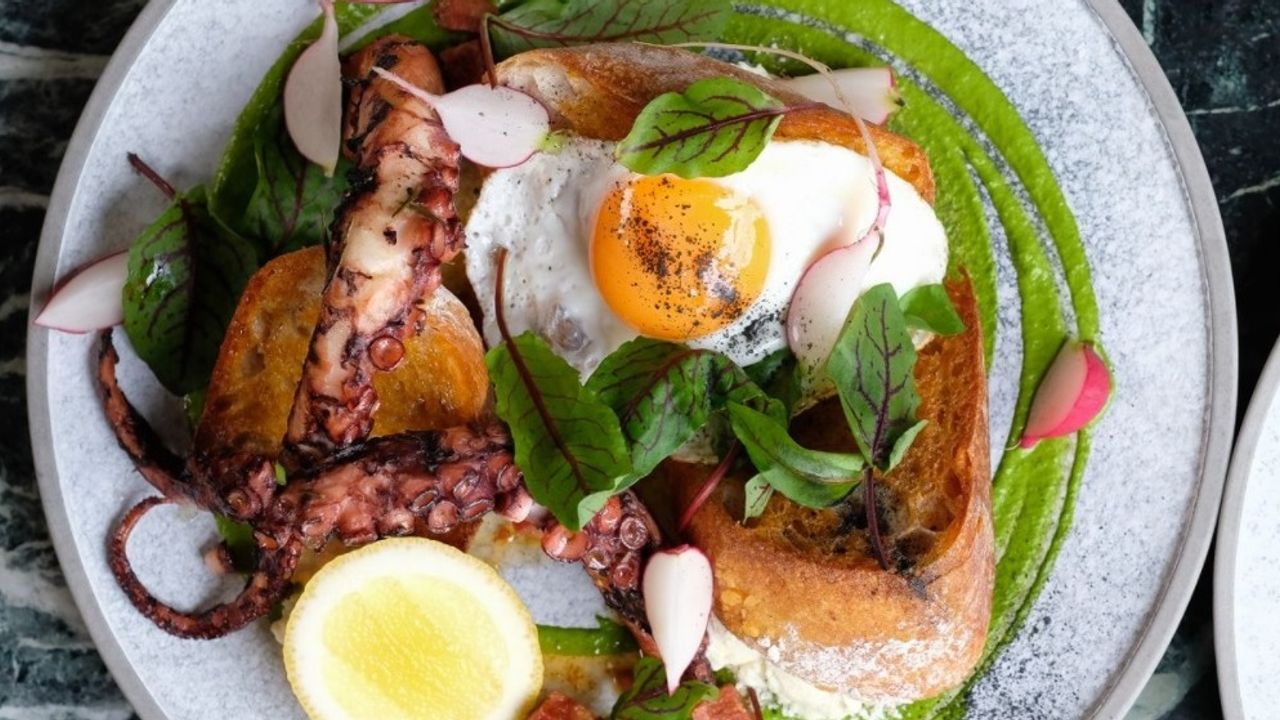 Grilled Octopus