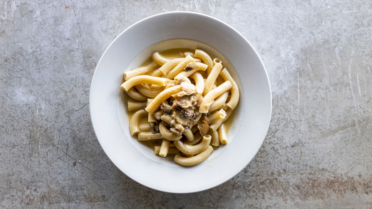 Rigatoni Con Funghi Misti E Taleggio (V)