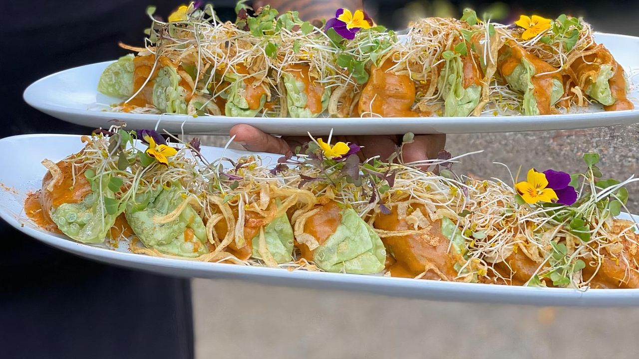 Veg Momos (Vegan)