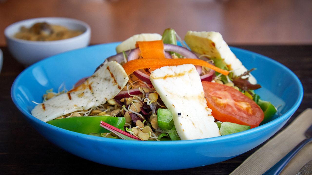 Sprouted Lentil & Halloumi Salad