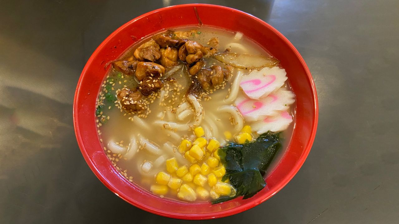 Udon Noodle Soup