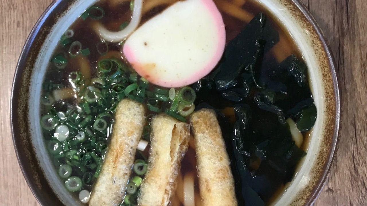 Plain Udon