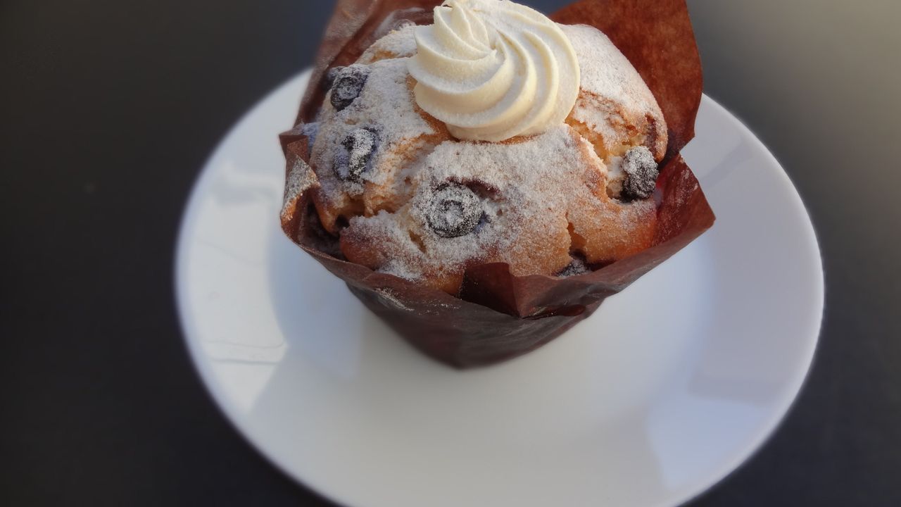 Blueberry Muffin