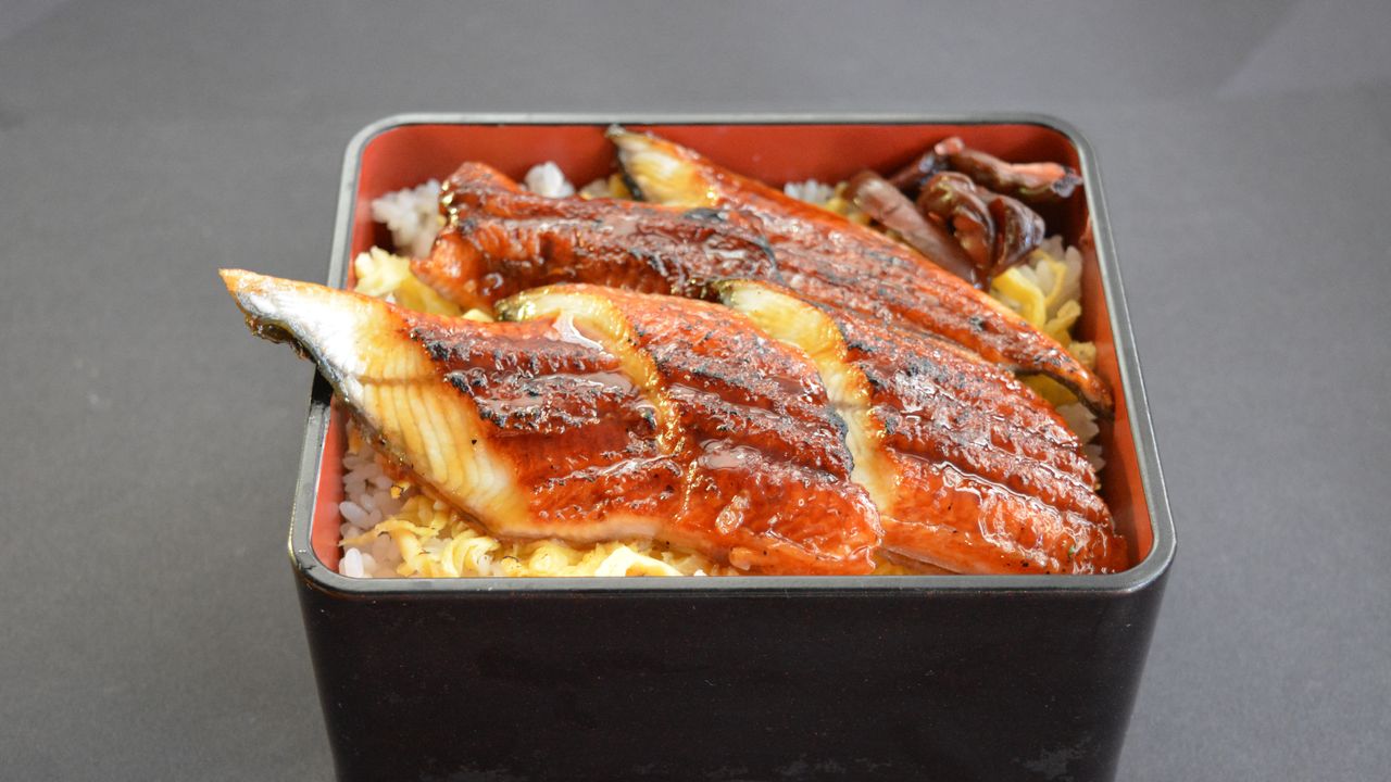 Unagi(eel) Don