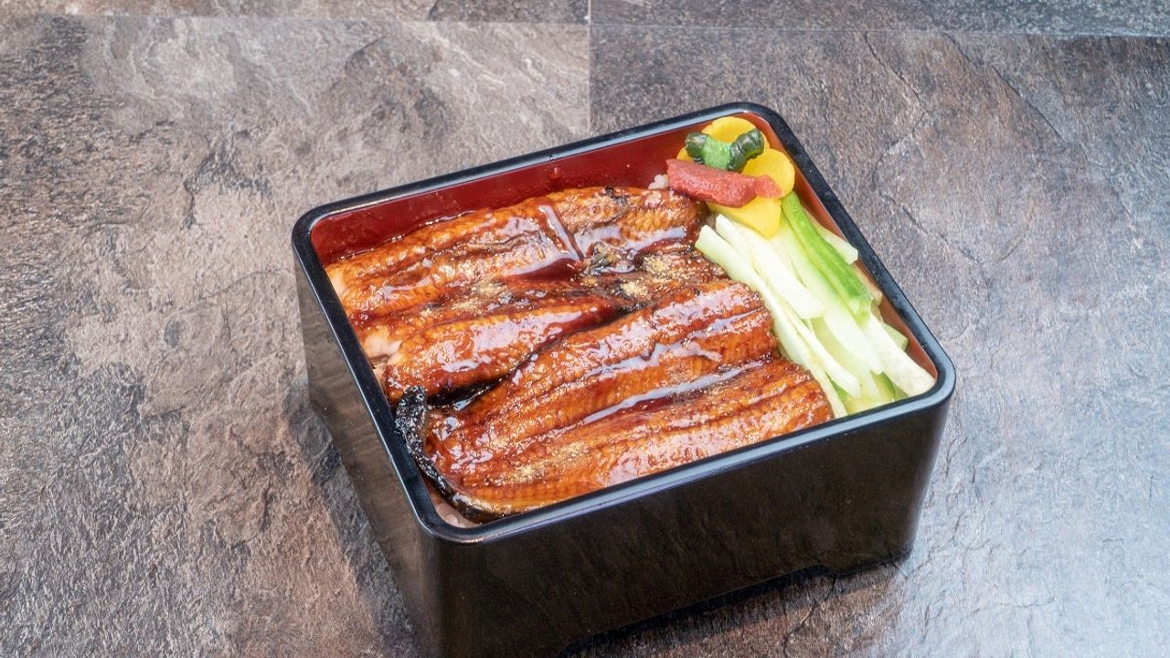 Unagi Ju