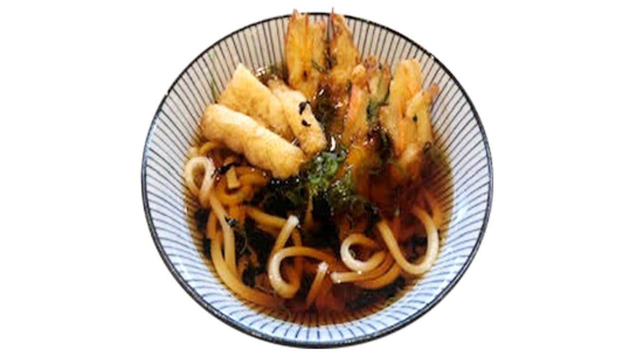 Vegetable Tempura Udon