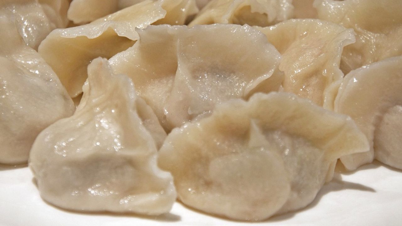 301. Pork Cabbage Dumplings (15)
