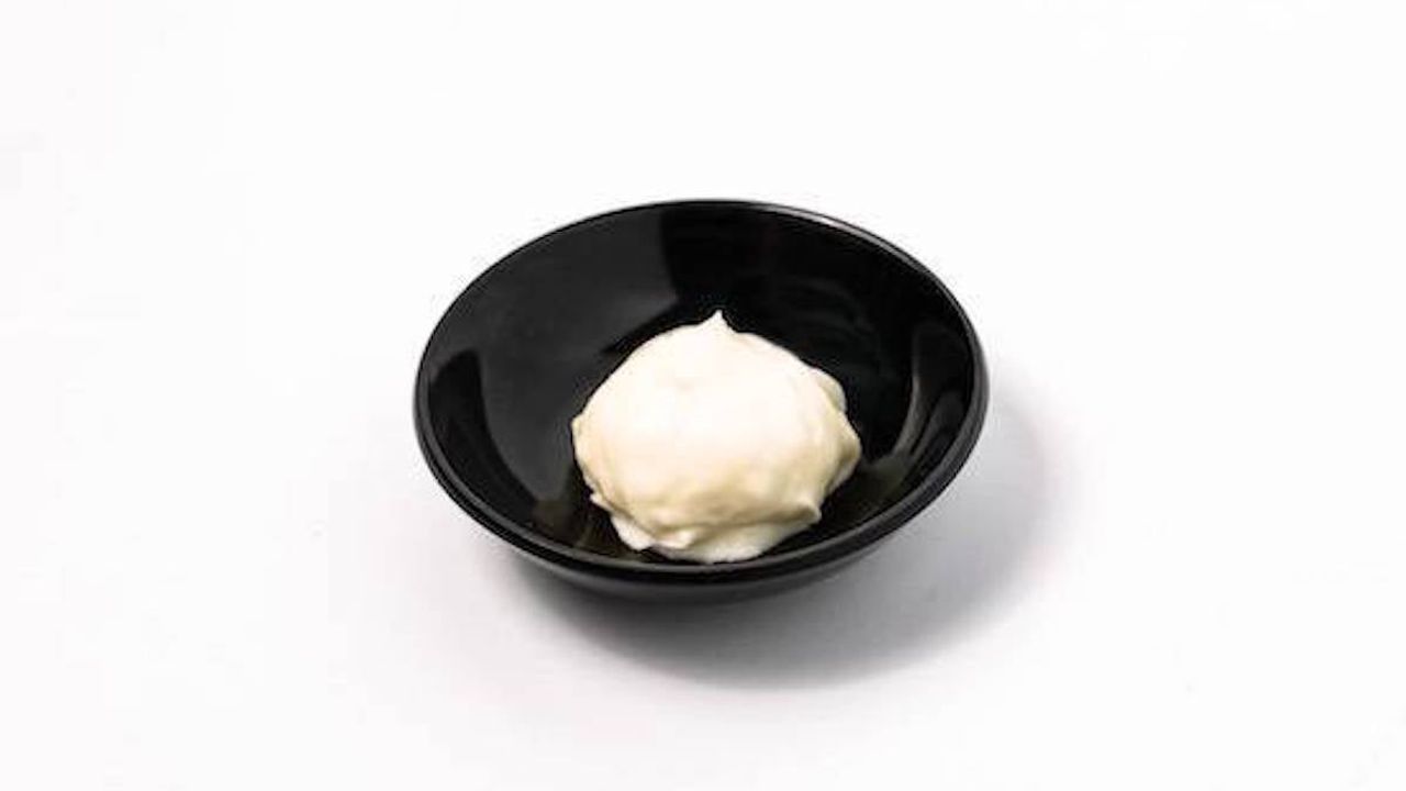 Extra Mayo Sauce