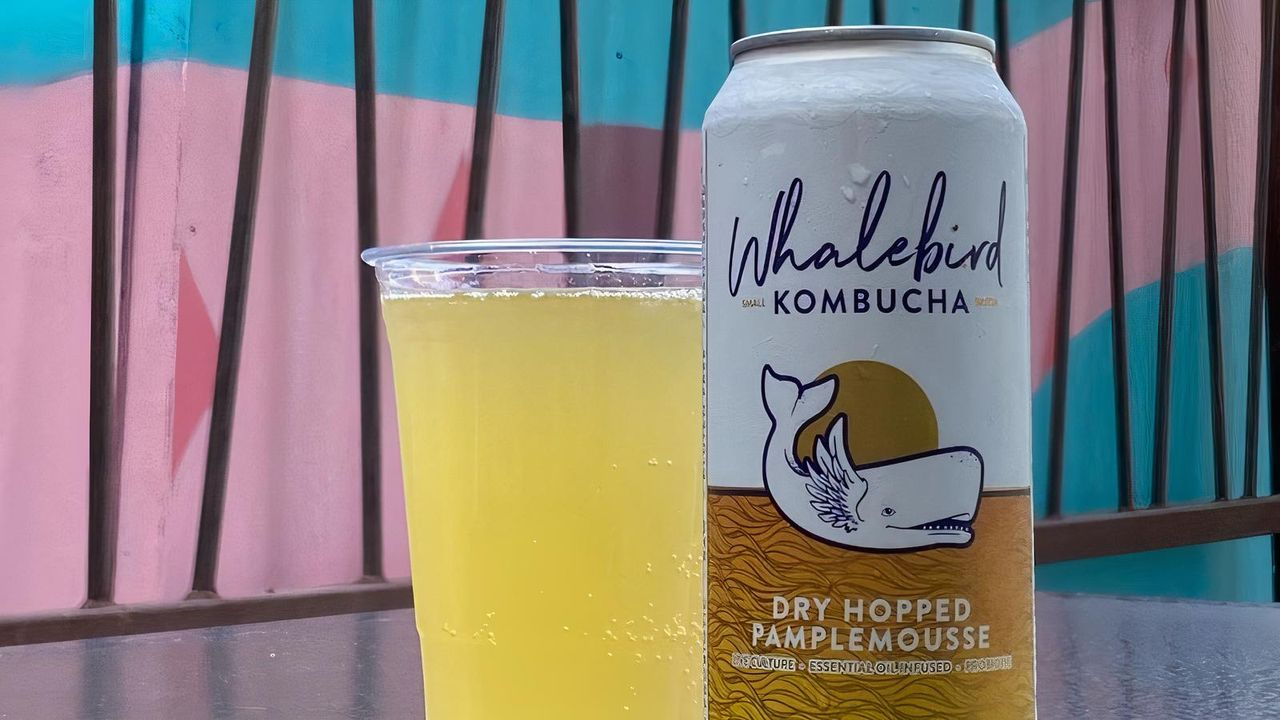 Whalebird Kombucha