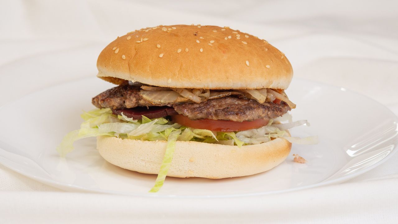 Plain Burger