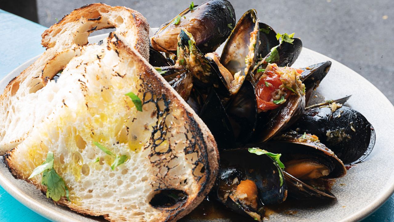 Mussels (Mount Martha)