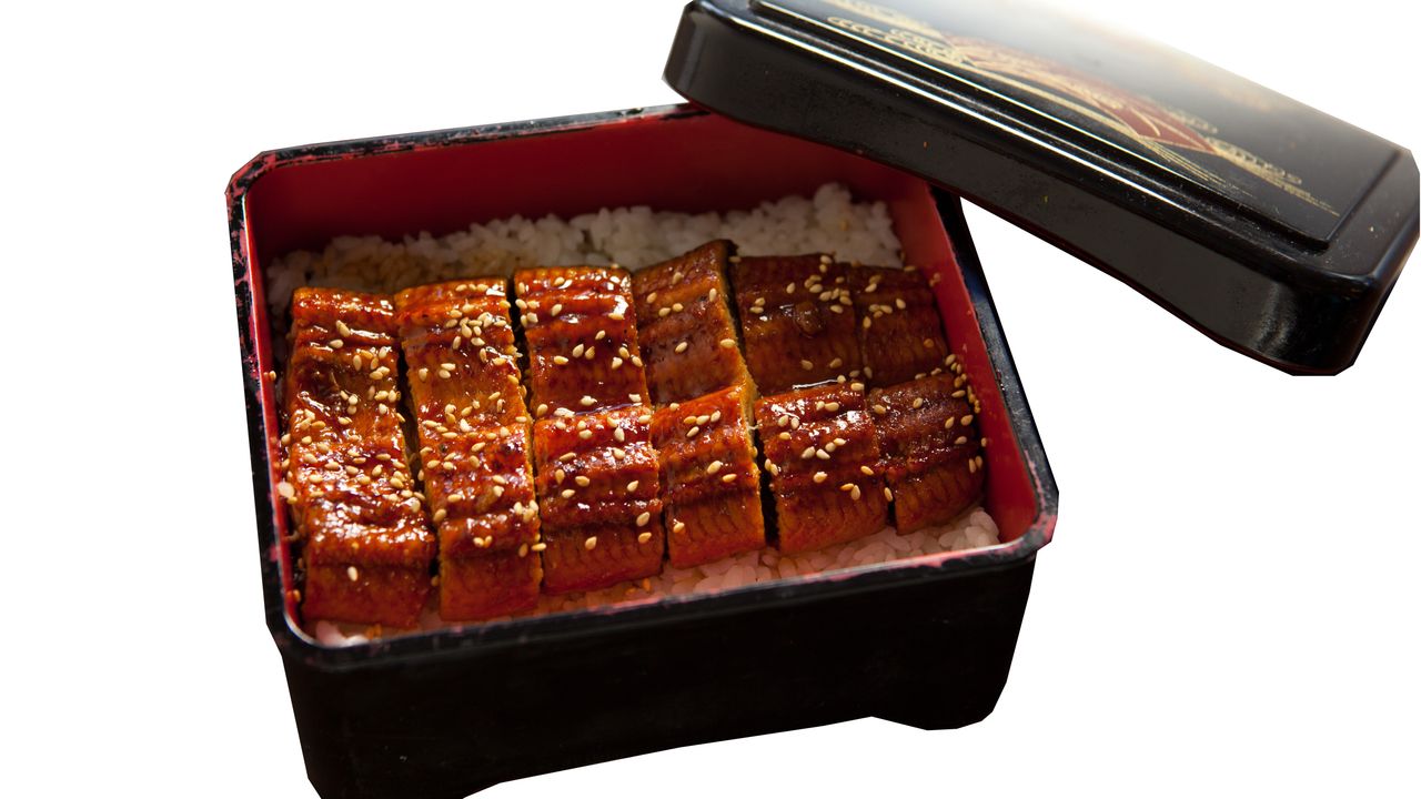 Unagi