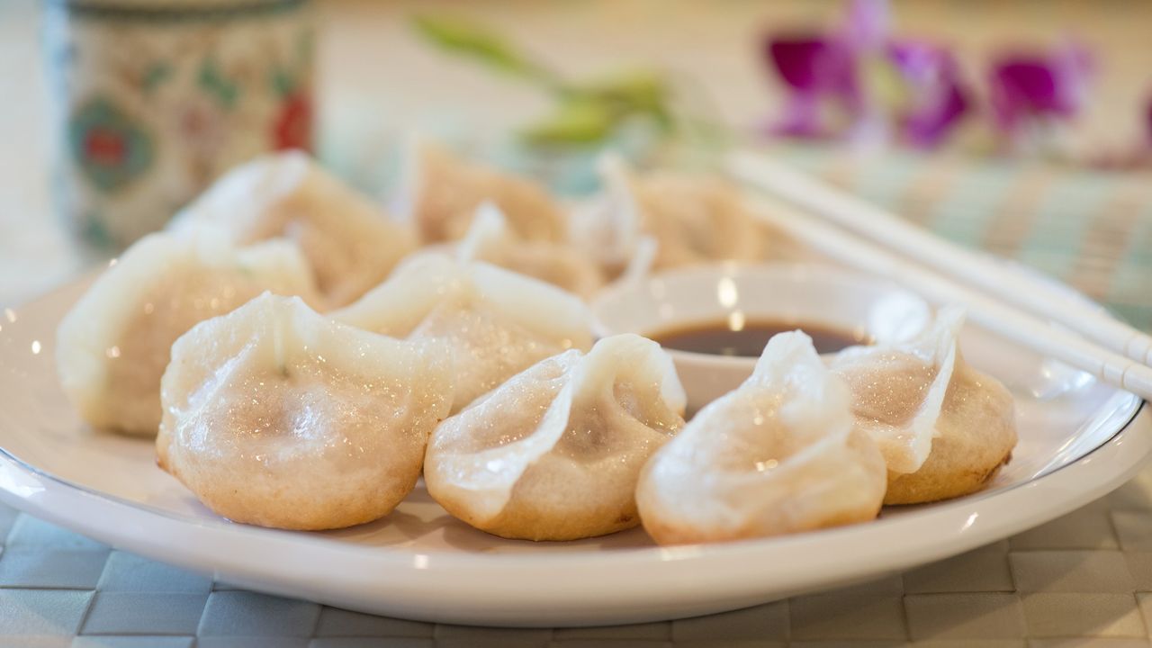 Beef Pan Fried Dumplings