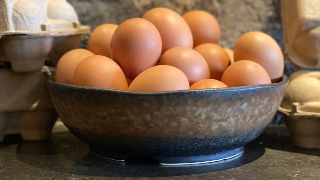 Free Range Eggs 1/2 doz