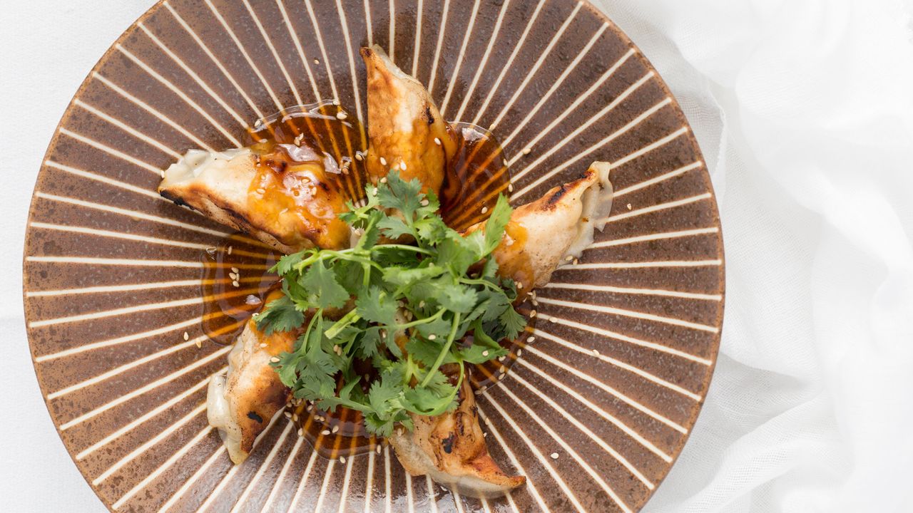 Chicken Gyoza