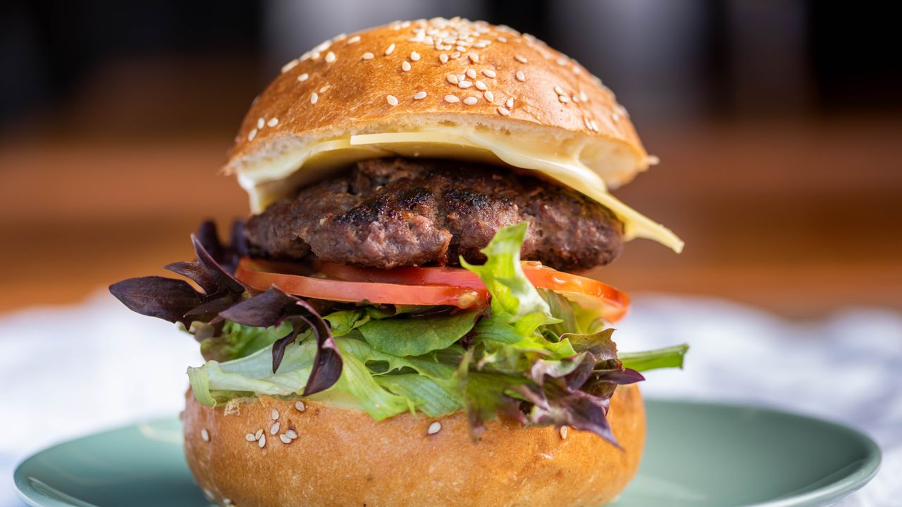 Cheese Burger