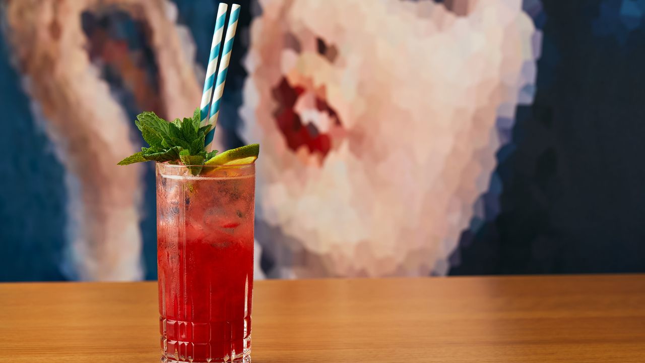 Raspberry Mojito (250ml)