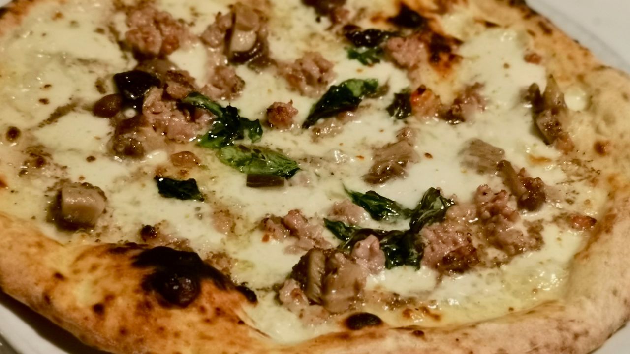 Porcini