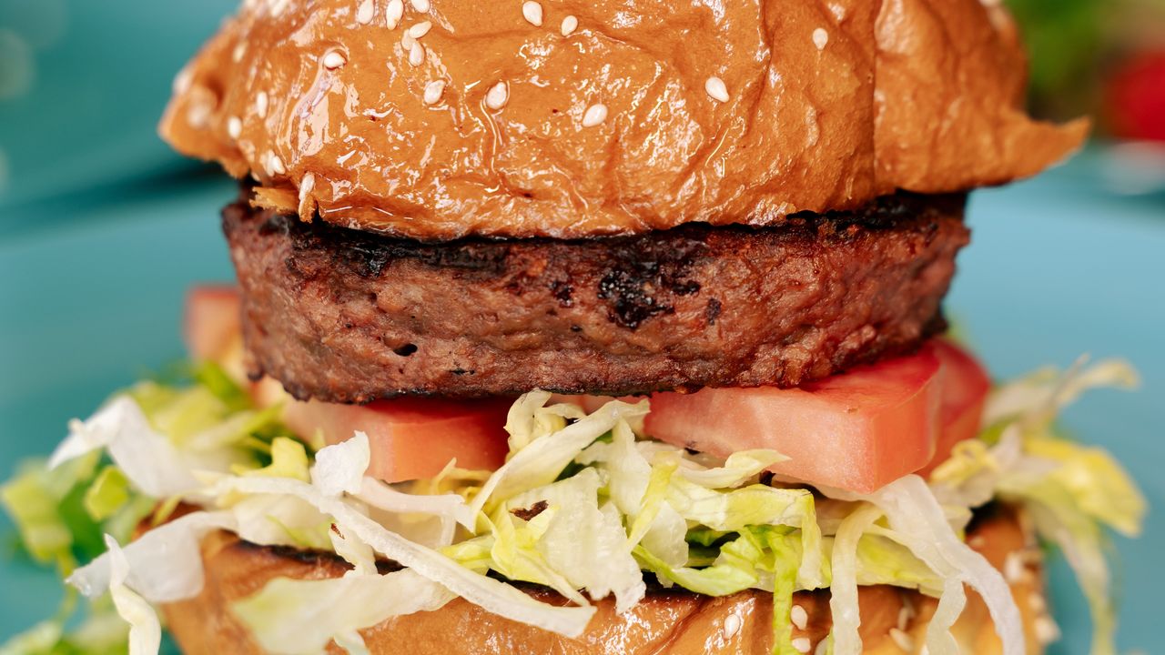 The vegan burger