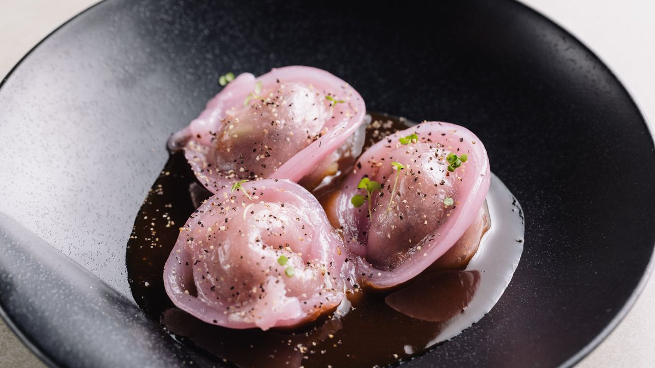 Roast Duck Dumplings (3)