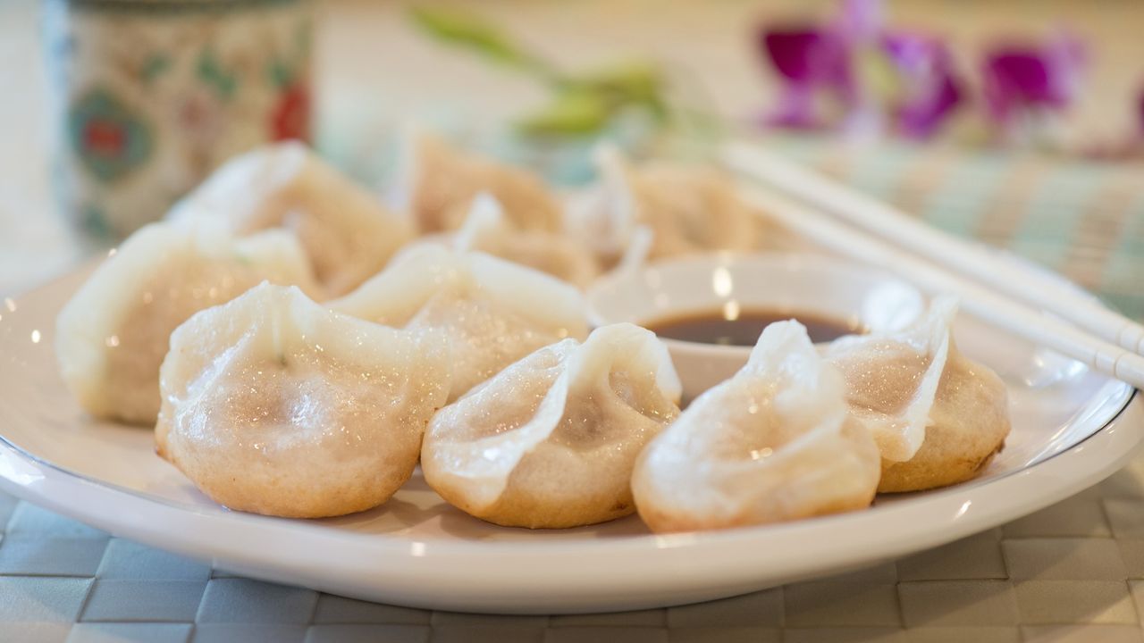 Chicken and Prawn Pan Fried Dumplings