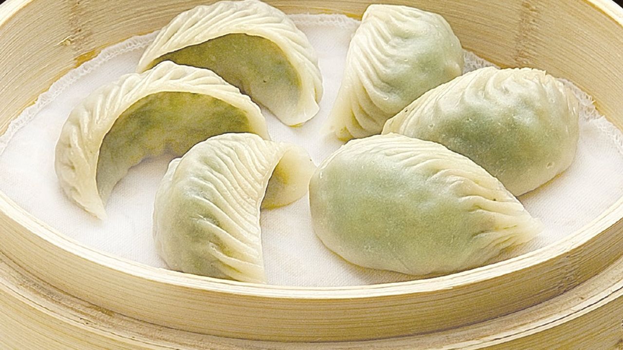 Vegetarian Dumpling