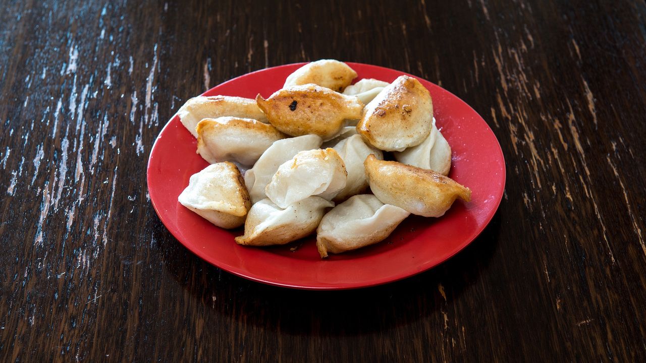Panfried Pork Dumplings