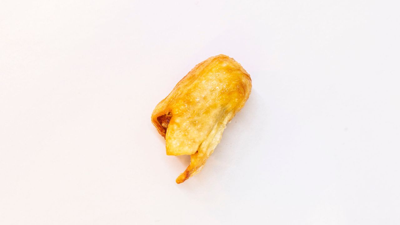 Fried Dim Sim