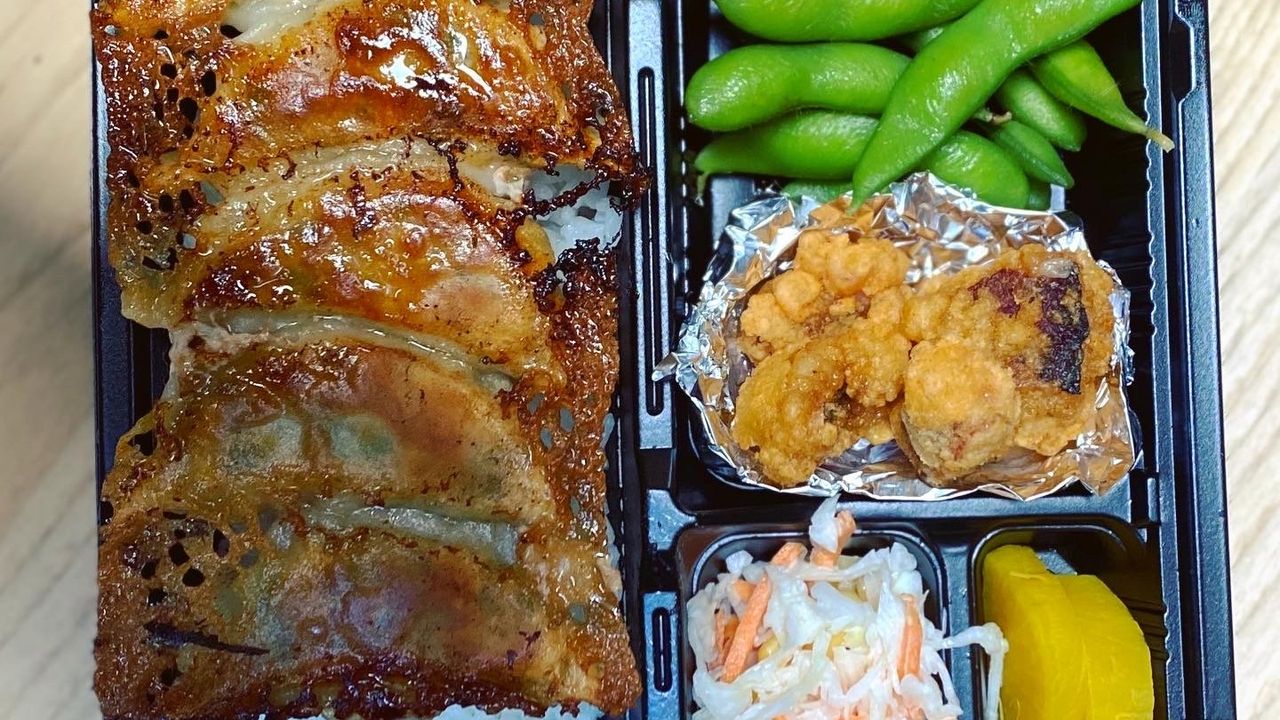 Gyozo bento