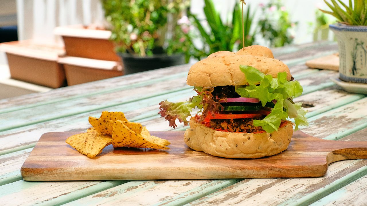Earth Burger