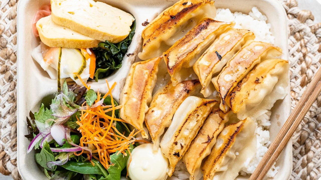 Gyoza Bento