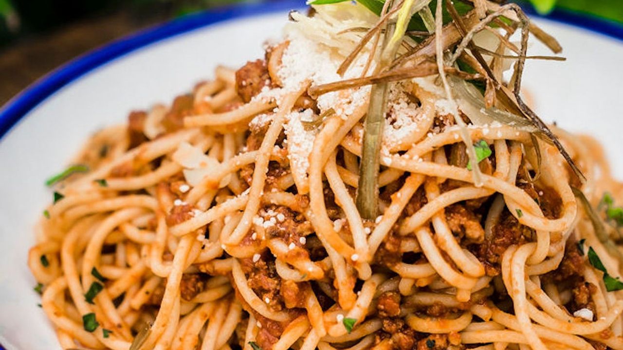 Bolognese