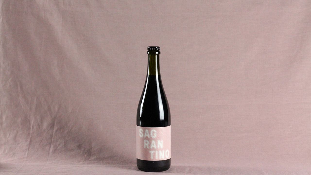 2019 Jamsheed Sagrantino