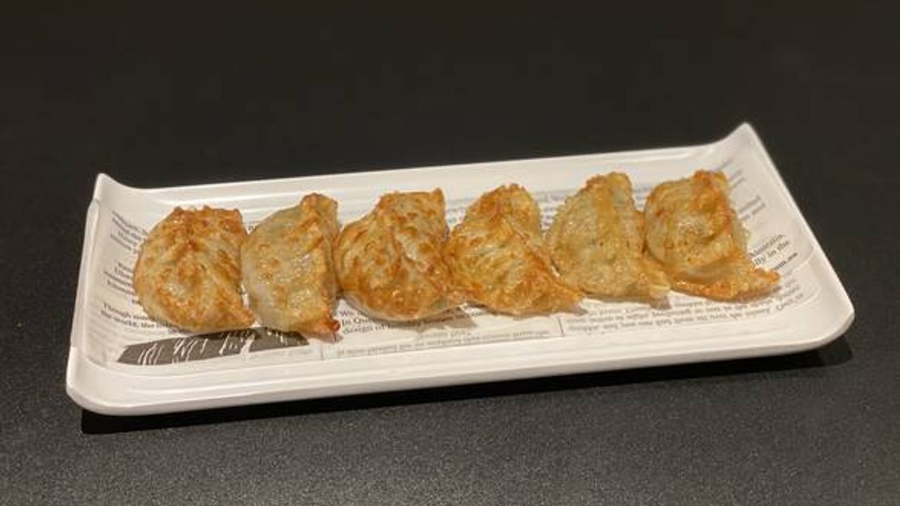 Fried Dumpling