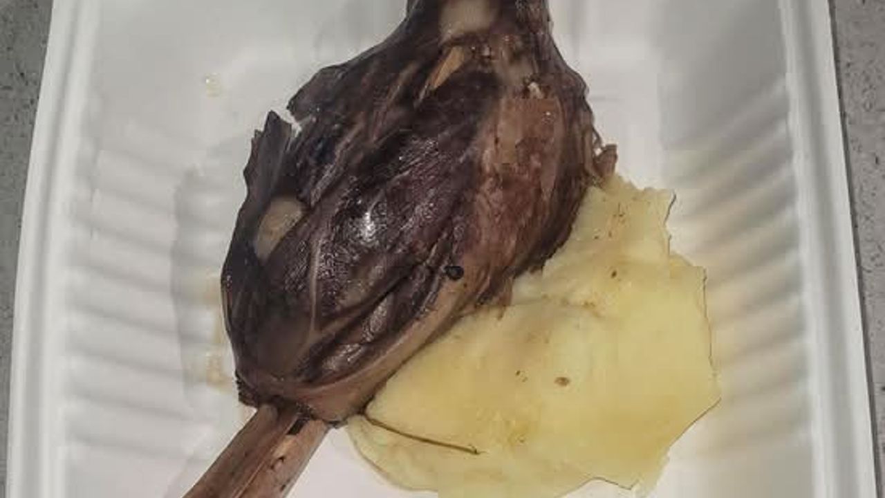 Lamb Shanks x 1 (GF)