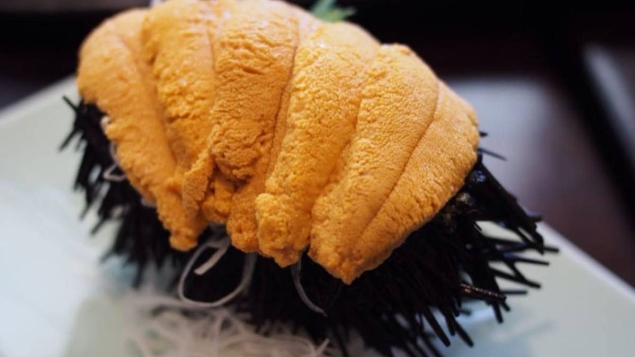 Uni Sashimi (8pcs)
