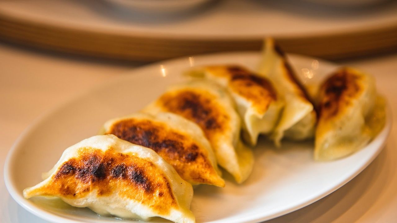 Homemade Wagyu Beef Gyoza