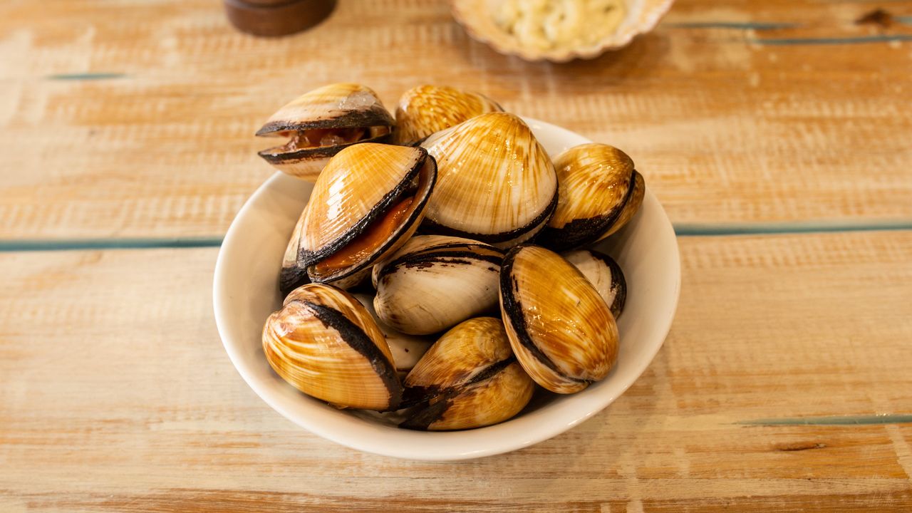 Scallops