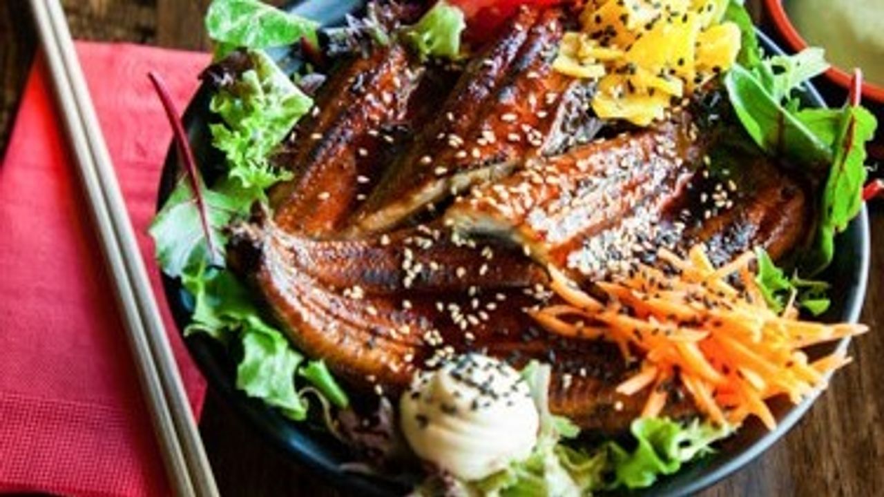 Grilled Eel Donburi