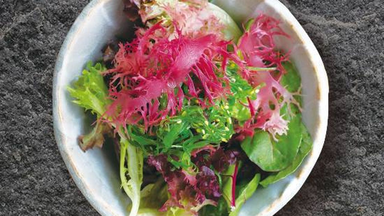 Seaweed Salad